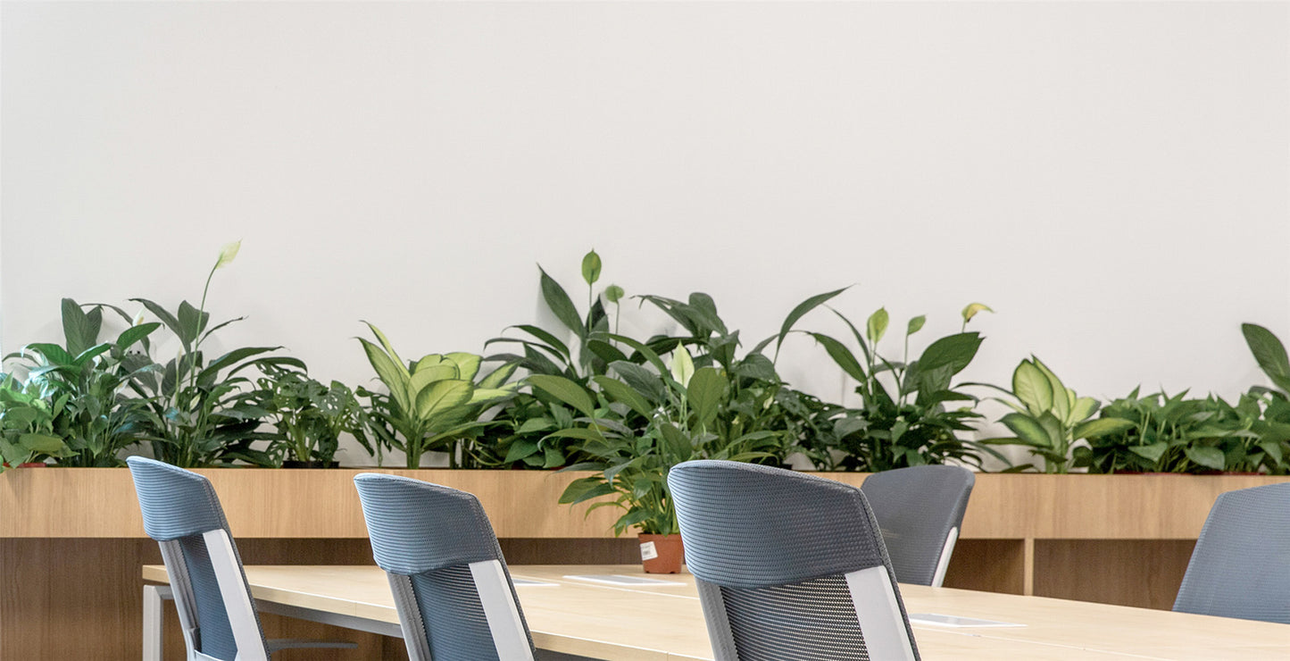 (2500-3500 Sq.ft) Office space interior design